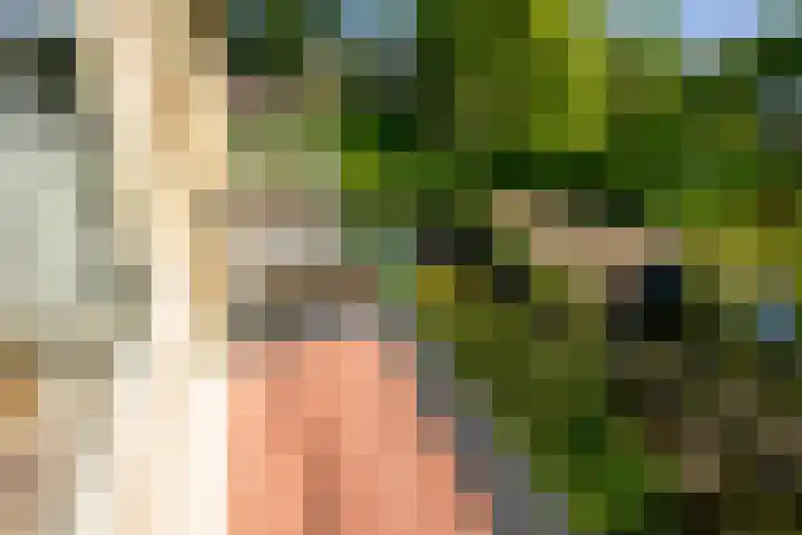 Heimond 59 De Lier thumbnail 27