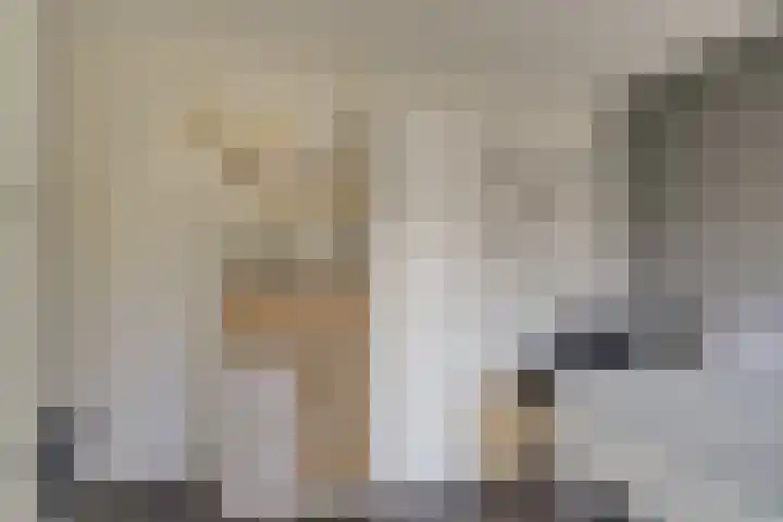 Heimond 59 De Lier thumbnail 28