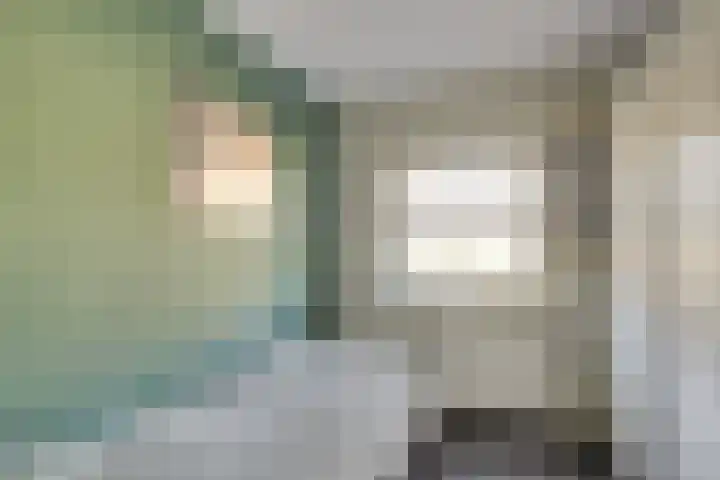 Heimond 59 De Lier thumbnail 29