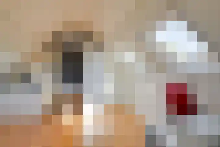 Heimond 59 De Lier thumbnail 30