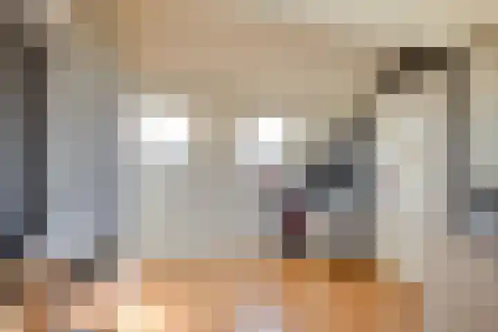 Heimond 59 De Lier thumbnail 32