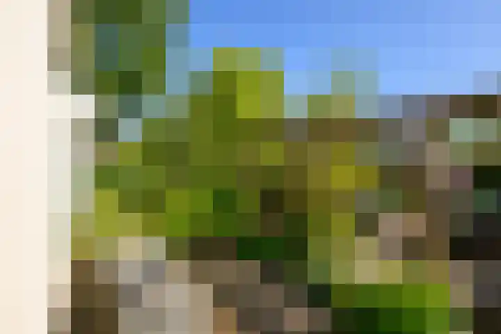 Heimond 59 De Lier thumbnail 33
