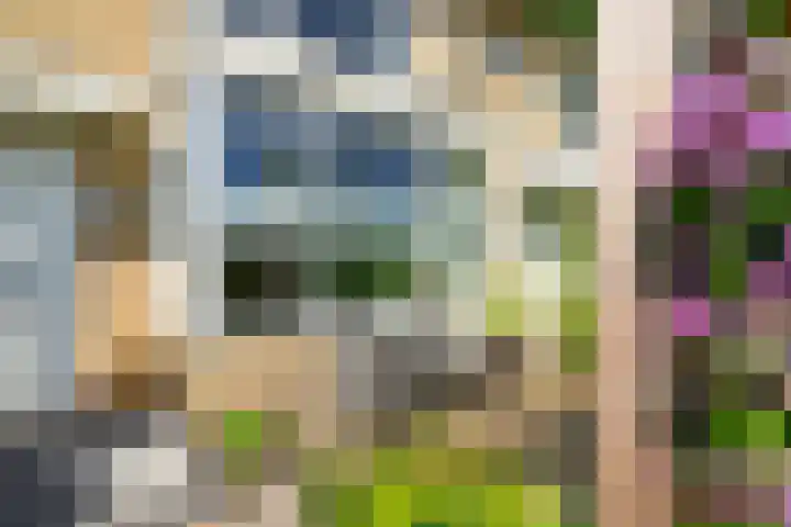 Heimond 59 De Lier thumbnail 34
