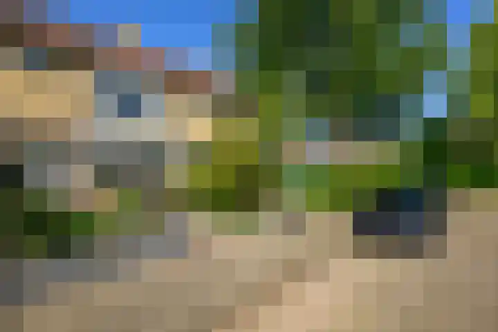 Heimond 59 De Lier thumbnail 35