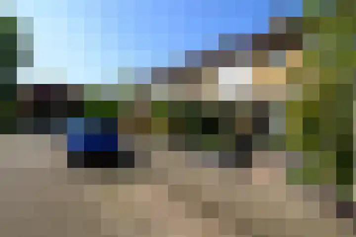 Heimond 59 De Lier thumbnail 36