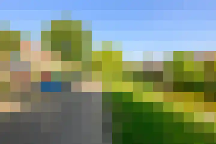 Heimond 59 De Lier thumbnail 37