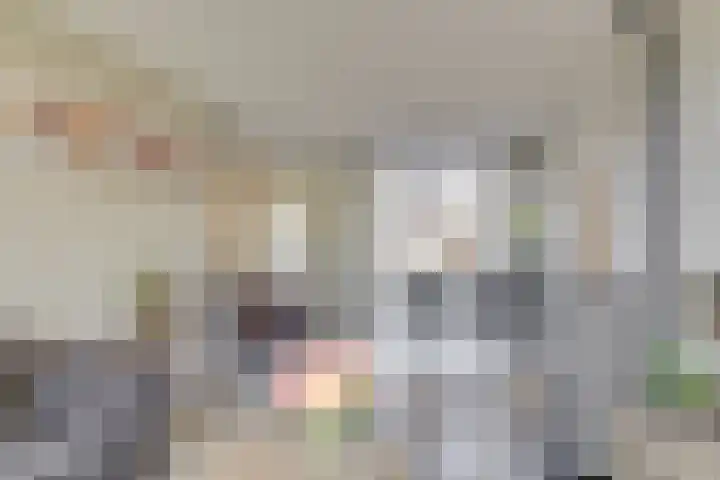 Heimond 59 De Lier thumbnail 4