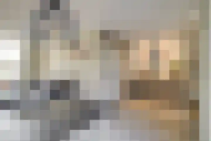 Heimond 59 De Lier thumbnail 5