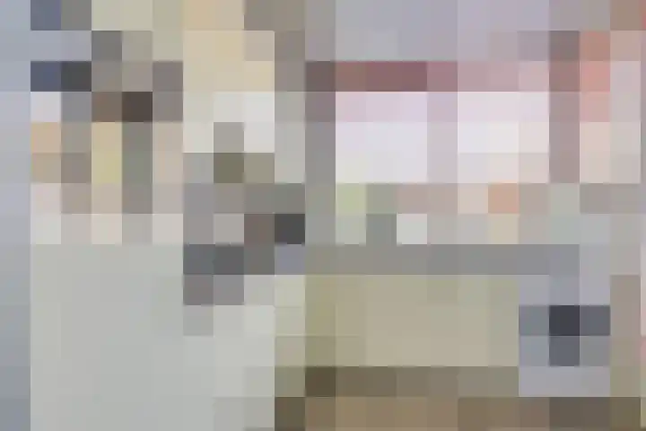 Heimond 59 De Lier thumbnail 7