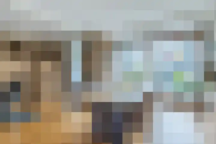 Heimond 69 De Lier thumbnail 12