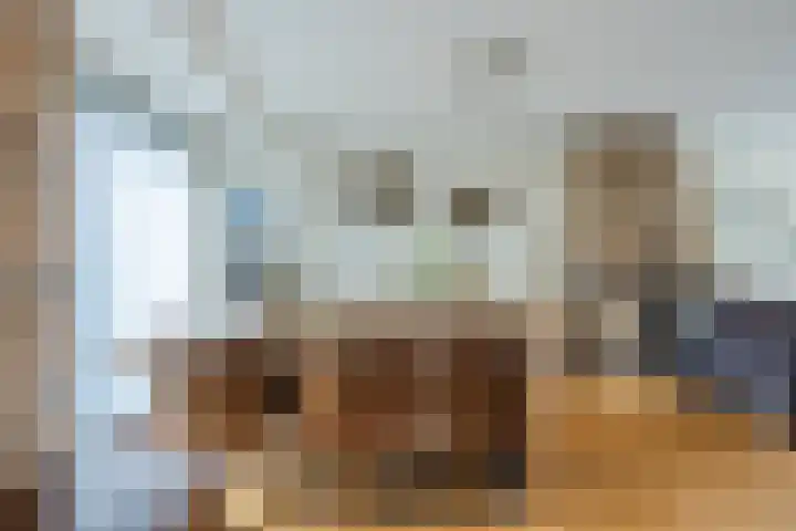 Heimond 69 De Lier thumbnail 14