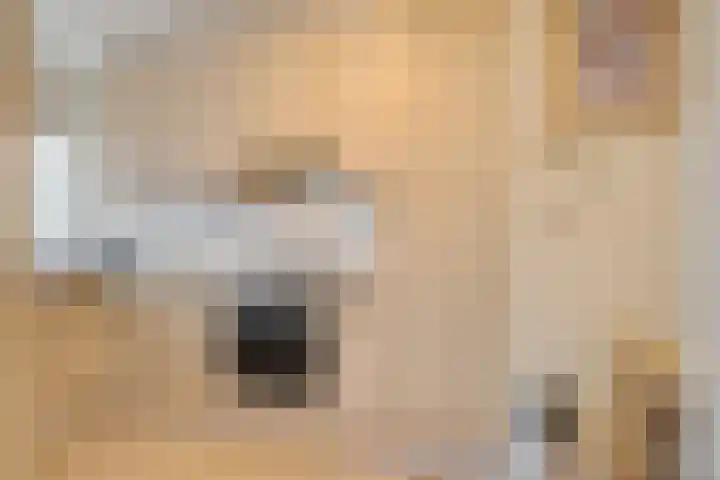 Heimond 69 De Lier thumbnail 16
