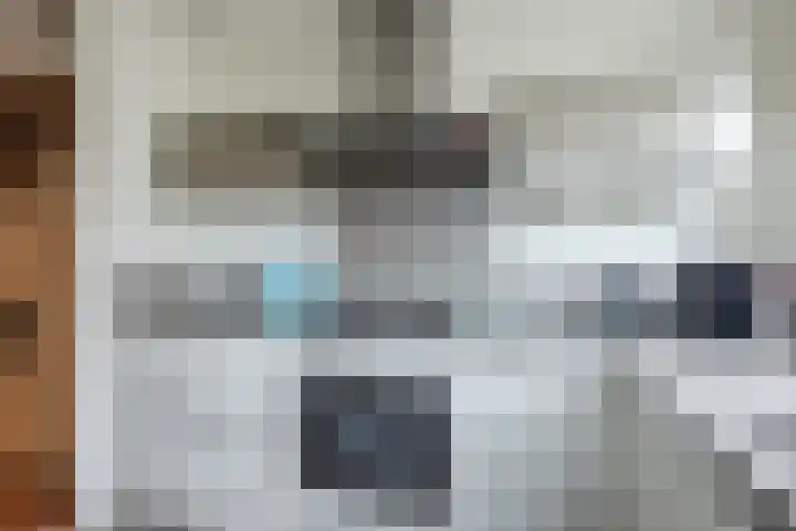 Heimond 69 De Lier thumbnail 16