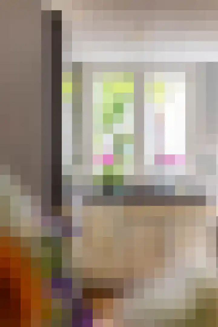 Heimond 69 De Lier thumbnail 19