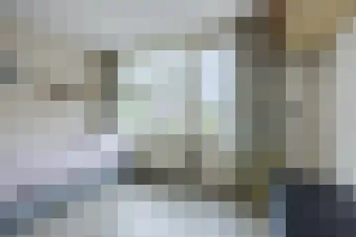 Heimond 69 De Lier thumbnail 19