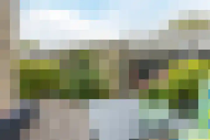 Heimond 69 De Lier foto 2