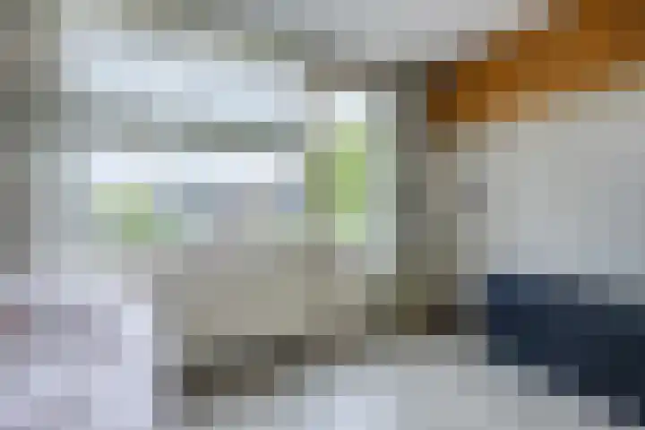 Heimond 69 De Lier thumbnail 21
