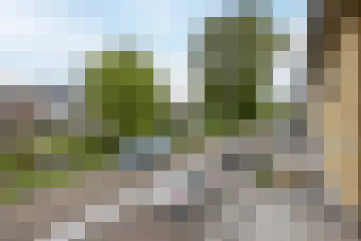 Heimond 69 De Lier thumbnail 22