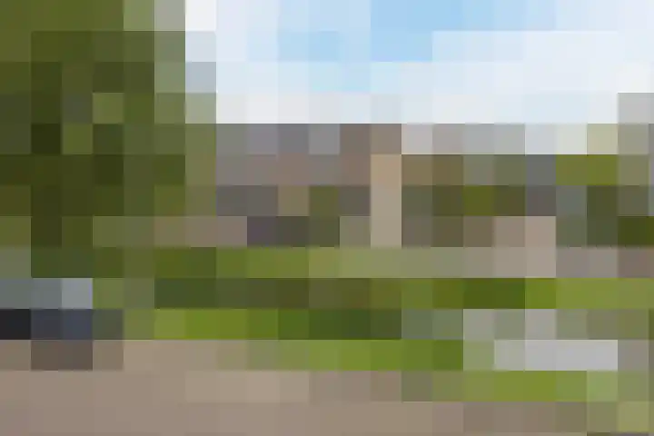 Heimond 69 De Lier thumbnail 23