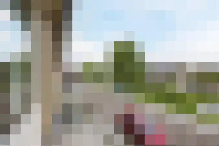 Heimond 69 De Lier thumbnail 24