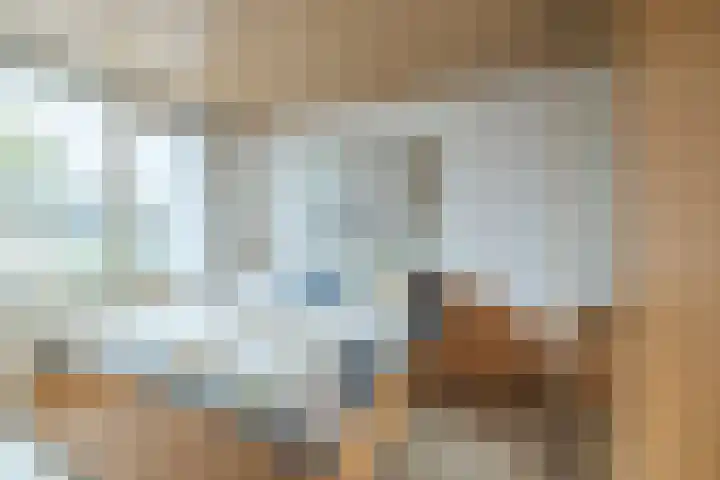Heimond 69 De Lier thumbnail 25