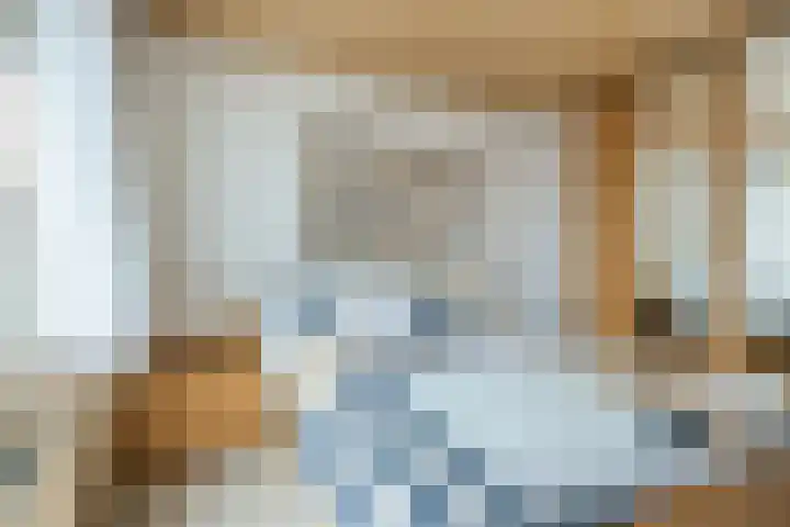 Heimond 69 De Lier thumbnail 26