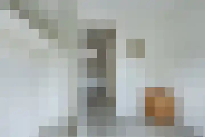 Heimond 69 De Lier thumbnail 29