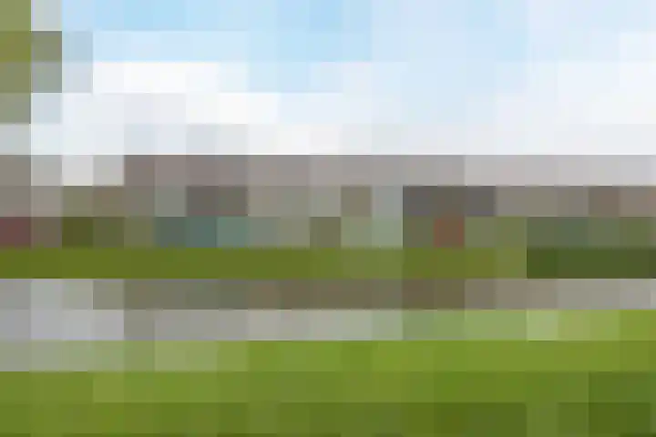 Heimond 69 De Lier foto 3