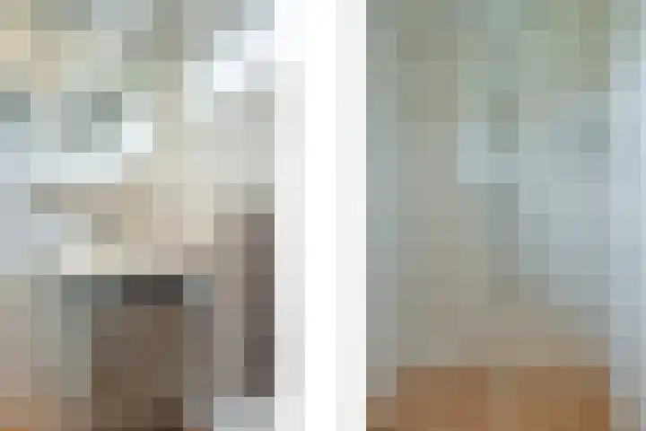 Heimond 69 De Lier thumbnail 31