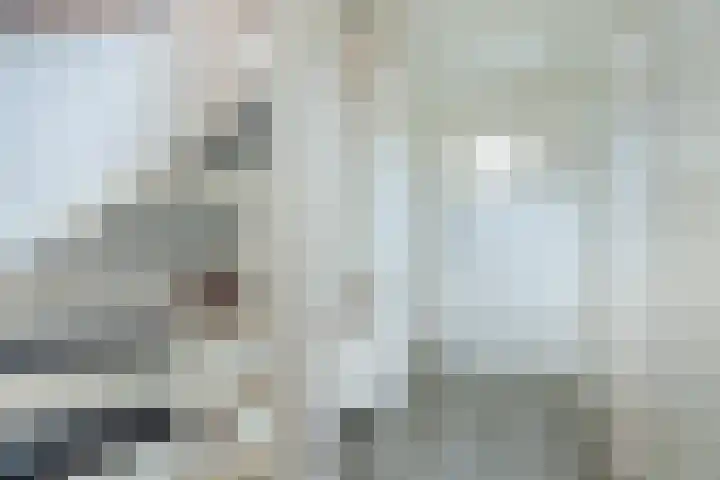 Heimond 69 De Lier thumbnail 32