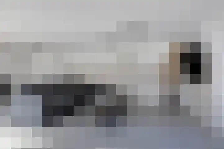Heimond 69 De Lier thumbnail 35