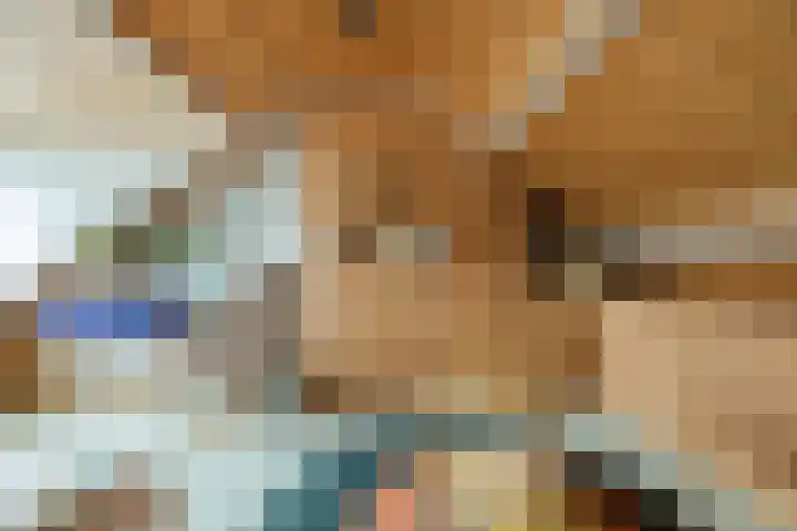 Heimond 69 De Lier thumbnail 35