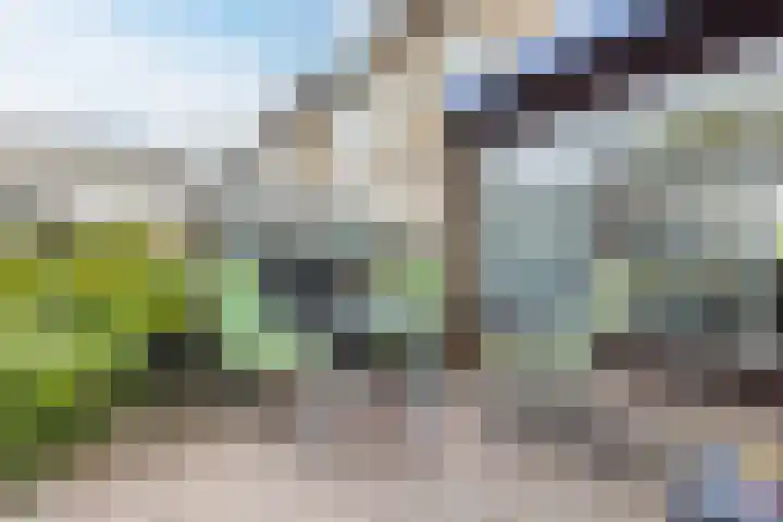 Heimond 69 De Lier thumbnail 38