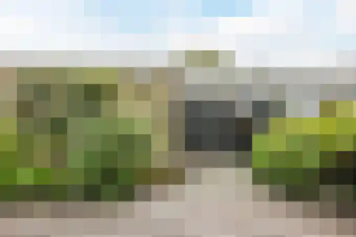 Heimond 69 De Lier thumbnail 39