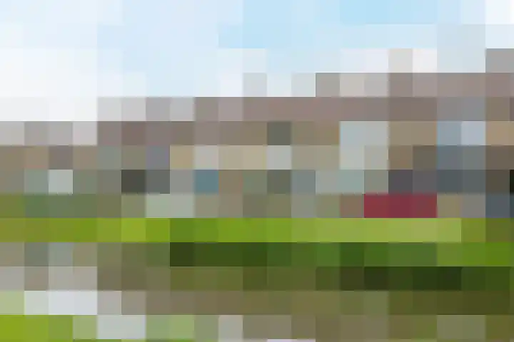Heimond 69 De Lier thumbnail 4