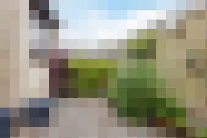 Heimond 69 De Lier thumbnail 40