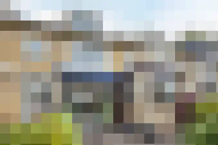 Heimond 69 De Lier thumbnail 41