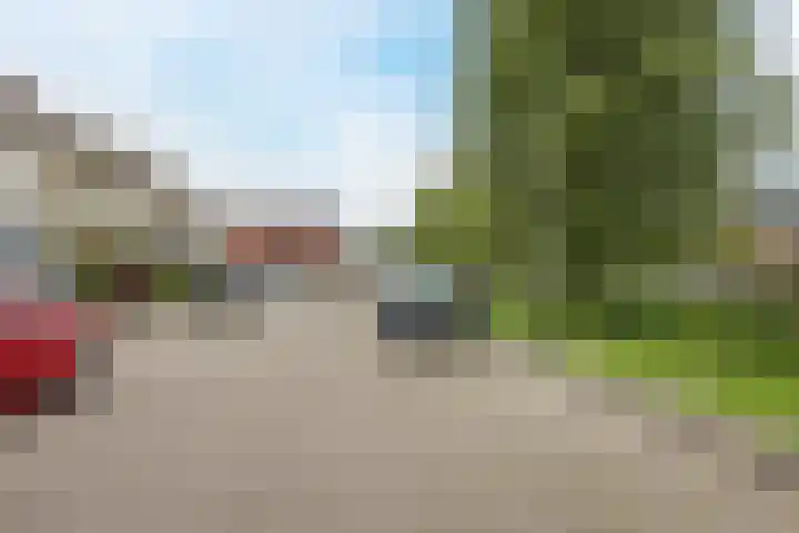 Heimond 69 De Lier thumbnail 42
