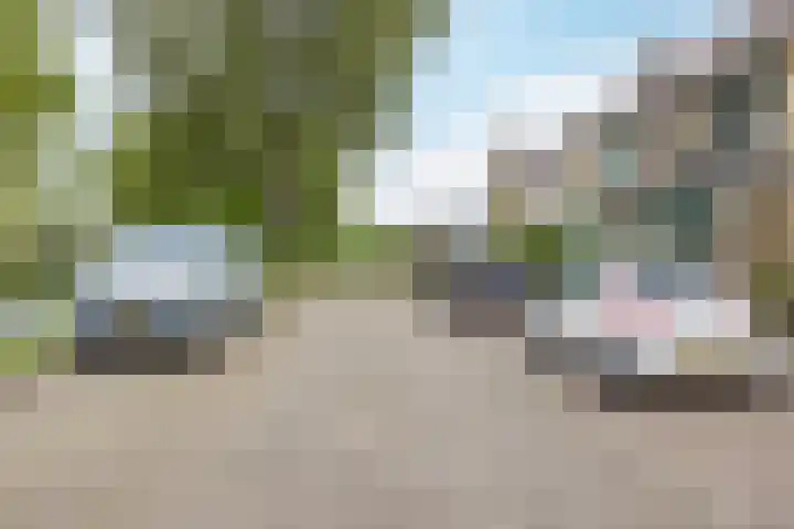 Heimond 69 De Lier thumbnail 43