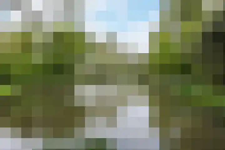 Heimond 69 De Lier thumbnail 44