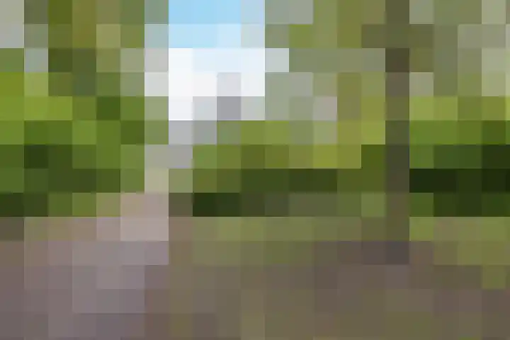 Heimond 69 De Lier thumbnail 46