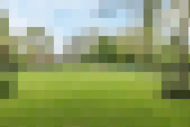Heimond 69 De Lier thumbnail 47