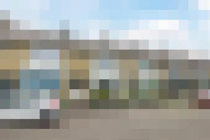 Heimond 69 De Lier thumbnail 5