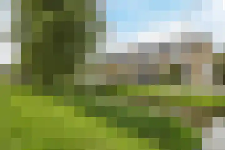 Heimond 69 De Lier thumbnail 53
