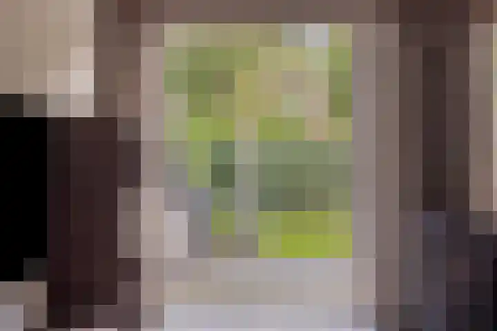 Hein Braakhuisstraat 6 Lettele thumbnail 11