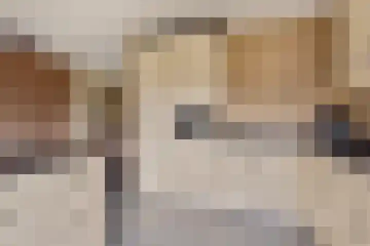 Hein Braakhuisstraat 6 Lettele thumbnail 19