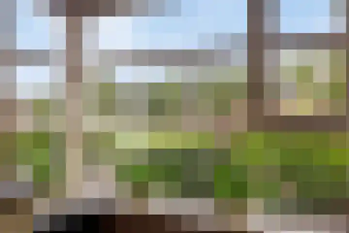 Hein Braakhuisstraat 6 Lettele thumbnail 21