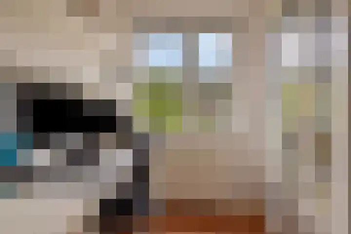 Hein Braakhuisstraat 6 Lettele thumbnail 28