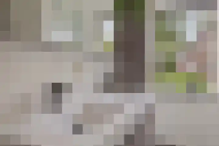 Hein Braakhuisstraat 6 Lettele thumbnail 34