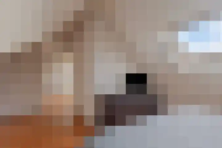 Hein Braakhuisstraat 6 Lettele thumbnail 38